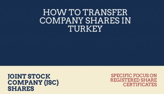 share-transfers-in-turkey-a-visual-summary-infographic