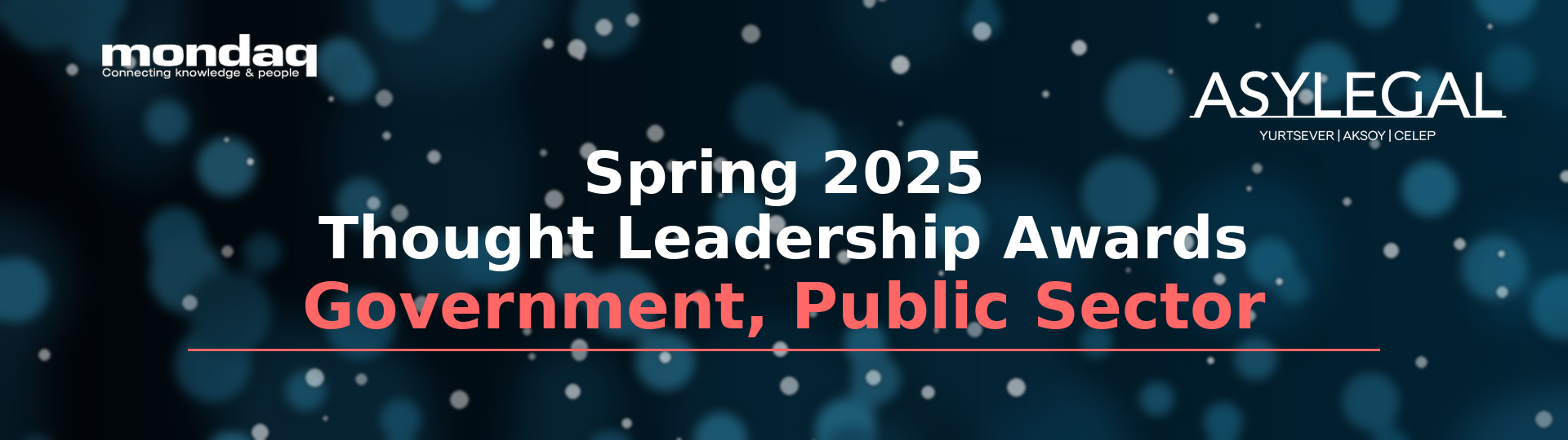 mondaq_banner_spring2025_gov_public_red